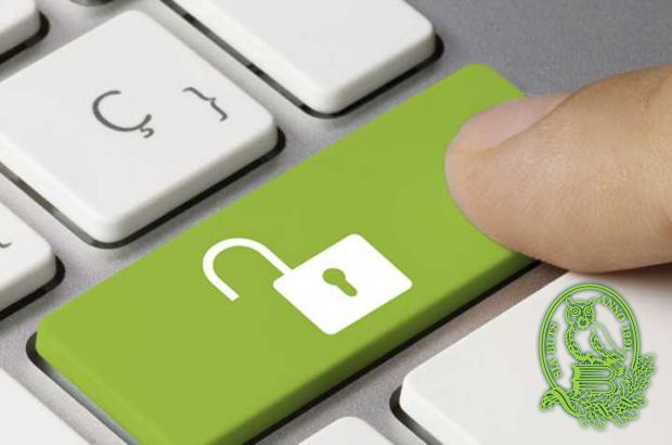 Personas datu aizsardzība (IT) un IT drošība 