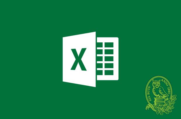 Microsoft Excel – Lietotāja līmenis