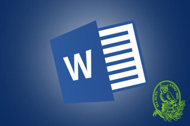 Microsoft Office Word 2013 lietpratējiem